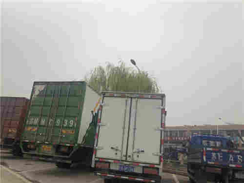 蘇州市順佳物流 專業連接蘇州與浙江的大件運輸服務專家